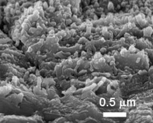 Oberflächenstruktur einer Haftvermittler-Beschichtung © Fraunhofer IWS Dresden