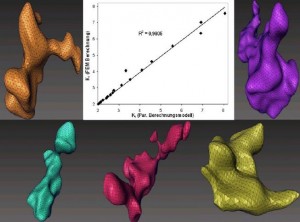 Schwindungsporen aus zerstörungsfreier Prüfung mit Korrelation zwischen den be-rechneten Kerbformzahlen und Ergebnissen aus FEM-Berechnungen. Graphik: Fraunhofer LBF