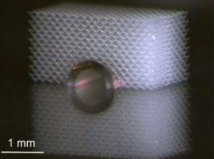 Mechanische Tarnkappe: Metamaterialien schützen Objekte an der Unterseite vor dem ertastet werden. (Bild: T. Bückmann/KIT)