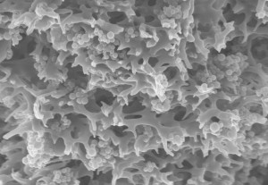 In der porösen Trägerstruktur der Membranadsorber sind winzige Polymerpartikel eingebettet, die Wertstoffe aus dem Wasser binden. © Fraunhofer IGB