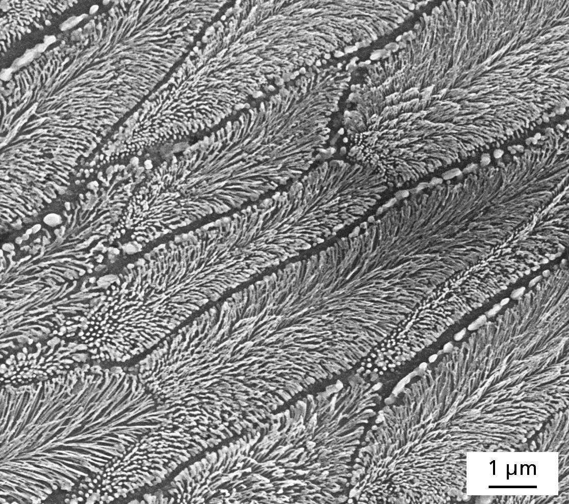 Legierungsentwicklung für die Additive Fertigung Werkstoffzeitschrift