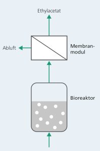 © Fraunhofer IKTS Nach der Fermentation der Melasse im Bioreaktor wird das entstandene Gas-Dampf-Gemisch durch ein Membranmodul geleitet und das wertvolle Ethylacetat abgetrennt.