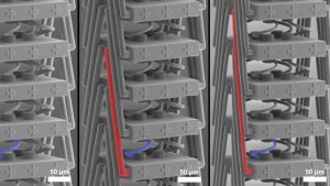 Das neue Metamaterial unter dem Rasterelektronenmikroskop: Eine spezielle Struktur (rot) ermöglicht neue Dehnungseigenschaften. (Abbildung: Jonathan Schneider, KIT) 