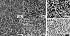 © Fraunhofer IMWSREM-Abbildung der erzeugten Nanostruktur verschiedener Polymere. 