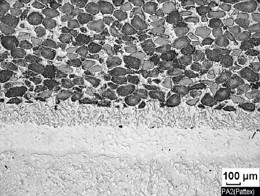 Vakuumgelötete Tape-Beschichtung mit elastischerZwischenschicht zur Aufnahme extremer Spannungen.
Schichthärte 55 HRC und 80% WC-Partikel